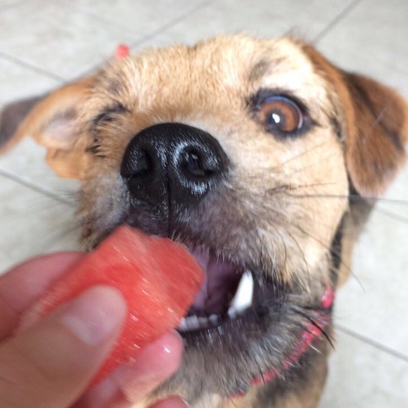 Meet your Posher, Rheanna - Picture 1 of 1